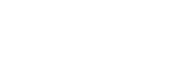 2D仿石漆